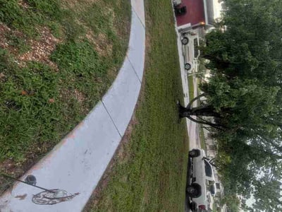Leaf Removal service in Wesley Chapel, 33543