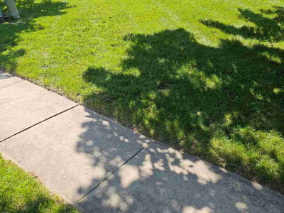 Lawn Care service in Groton, 06340
