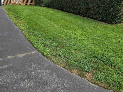Lawn Care service in Groton, 06340