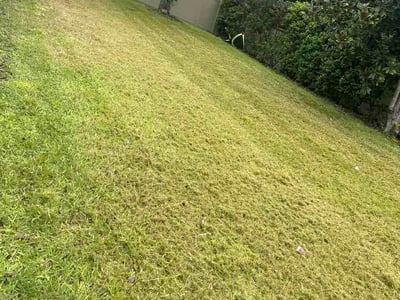 Lawn Care service in Punta Gorda, 33950