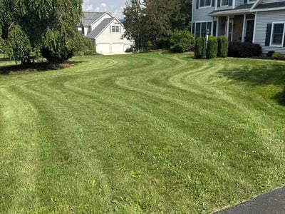 Lawn Care service in Elmont, 11003