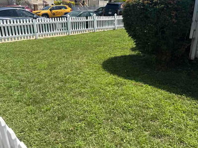 Lawn Care service in Long Island City, 11101