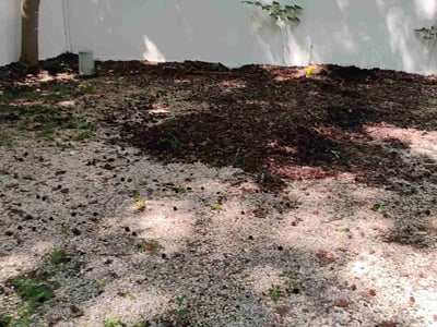 Leaf Removal service in Mooresville, 28115