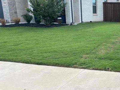Lawn Care service in Paterson, 07505