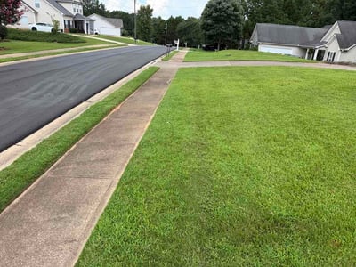 Lawn Care service in Paterson, 07505
