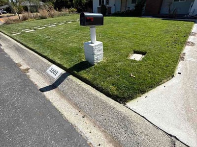 Lawn Care service in Alameda, 94501