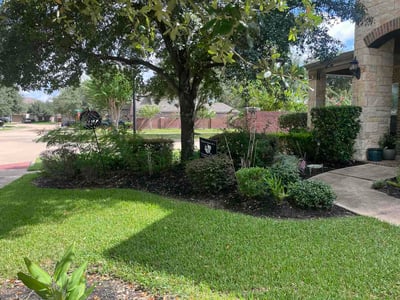 Lawn Care service in Salinas, 93901
