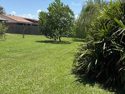 Lawn Care service in Panama City, 32401