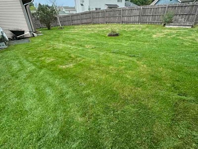 Lawn Care service in Burlington, 53105