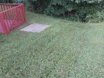 Lawn Care service in Alameda, 94501