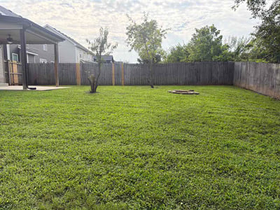 Lawn Care service in Seaside, 93955