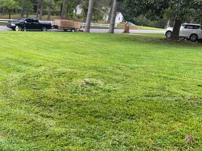 Lawn Care service in Seaside, 93955
