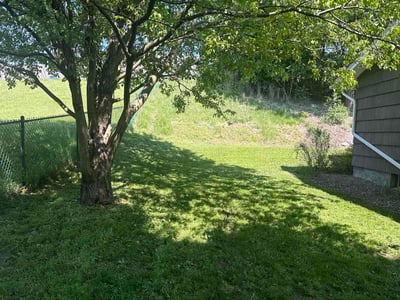 Lawn Care service in Jamaica, 11432