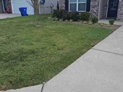 Lawn Care service in Jamaica, 11432
