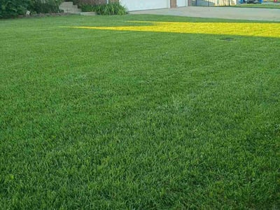Lawn Care service in Sparks, 89431