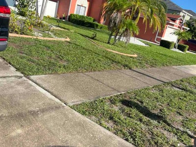 Lawn Care service in Middle Village, 11379