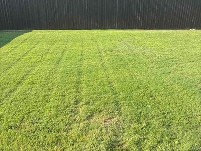 Lawn Care service in Roanoke, 76262