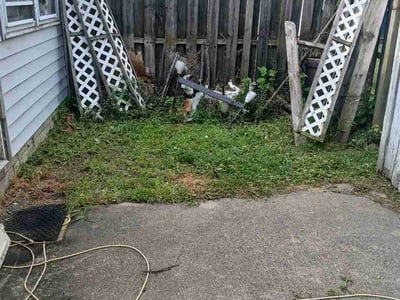 Leaf Removal service in Saint Paul, 55107