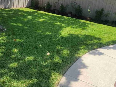 Lawn Care service in Roanoke, 76262