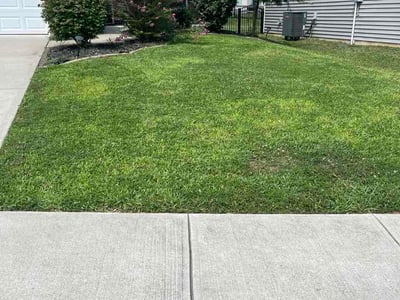 Lawn Care service in Ocean City, 08226