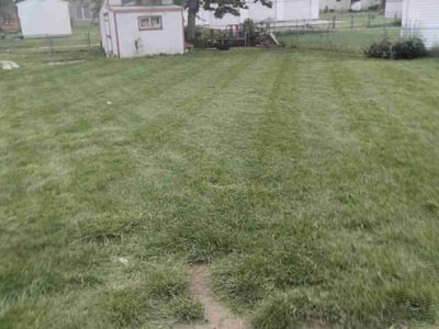 Lawn Care service in San Ramon, 94583