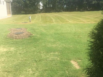 Lawn Care service in Long Beach, 11561