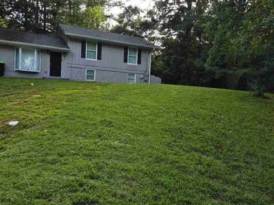 Lawn Care service in Ozone Park, 11417