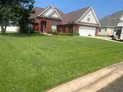Lawn Care service in Ozone Park, 11417