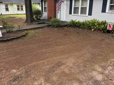 Leaf Removal service in Spartanburg, 29306