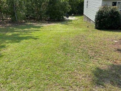 Leaf Removal service in Spartanburg, 29306
