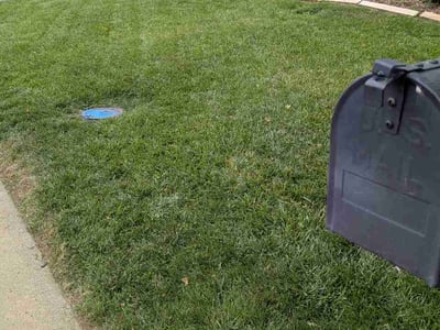 Lawn Care service in Englewood, 07631