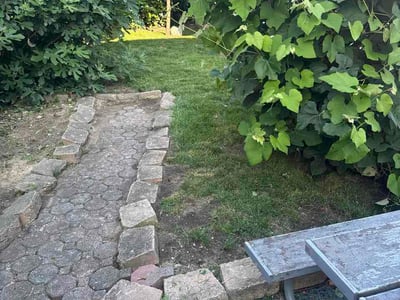 Lawn Care service in Elmhurst, 11373