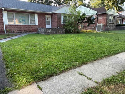Lawn Care service in Elmhurst, 11373