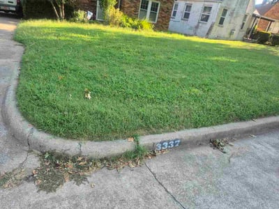 Lawn Care service in Bayside, 11361
