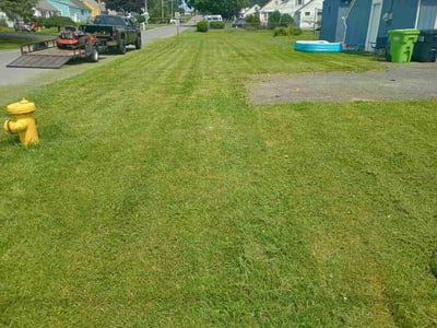 Lawn Care service in Elmhurst, 11373