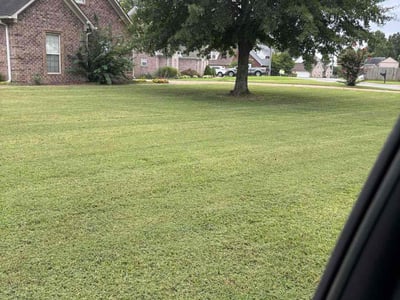 Lawn Care service in Elmhurst, 11373