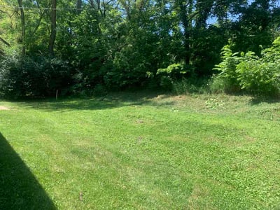 Lawn Care service in Elmhurst, 11373