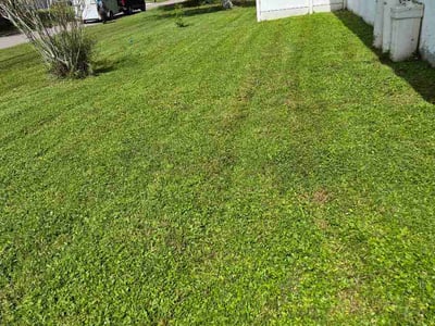 Lawn Care service in East Elmhurst, 11369