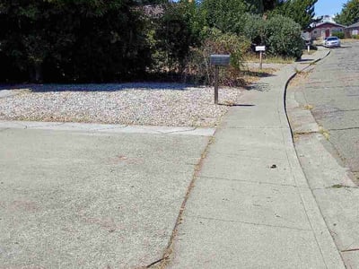 Leaf Removal service in Roseville, 95678