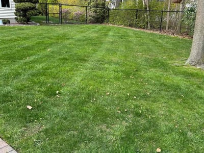 Lawn Care service in Port Washington, 11050