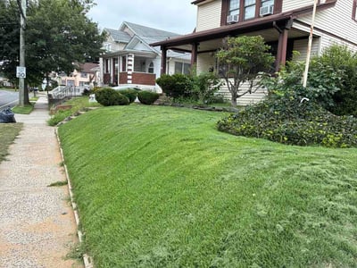 Lawn Care service in Valley Stream, 11580