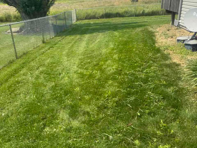 Lawn Care service in Pasco, 99301