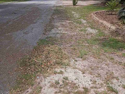 Leaf Removal service in Denham Springs, 70726