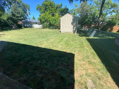 Leaf Removal service in Denham Springs, 70726