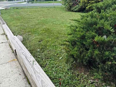 Lawn Care service in Linden, 07036