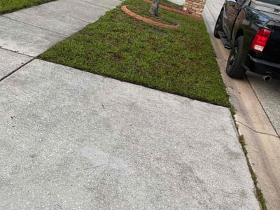 Lawn Care service in Linden, 07036