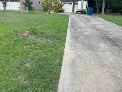 Lawn Care service in Hollis, 11423