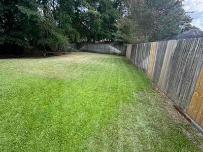 Lawn Care service in Longview, 75601
