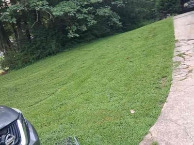 Lawn Care service in Point Pleasant Beach, 08742