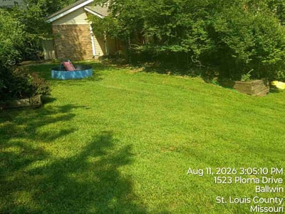 Lawn Care service in Rego Park, 11374